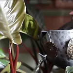 Il Relais Maison d'hôtes 4*