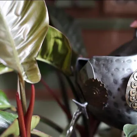 Il Relais Πανσιόν 4*